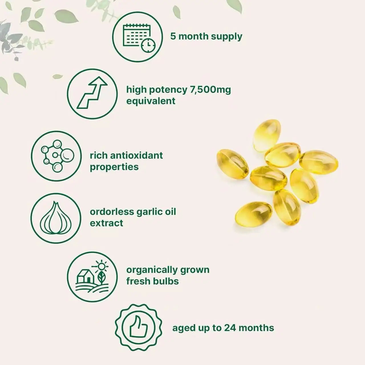 300 Odorless Aged Garlic Extract Softgel Capsules